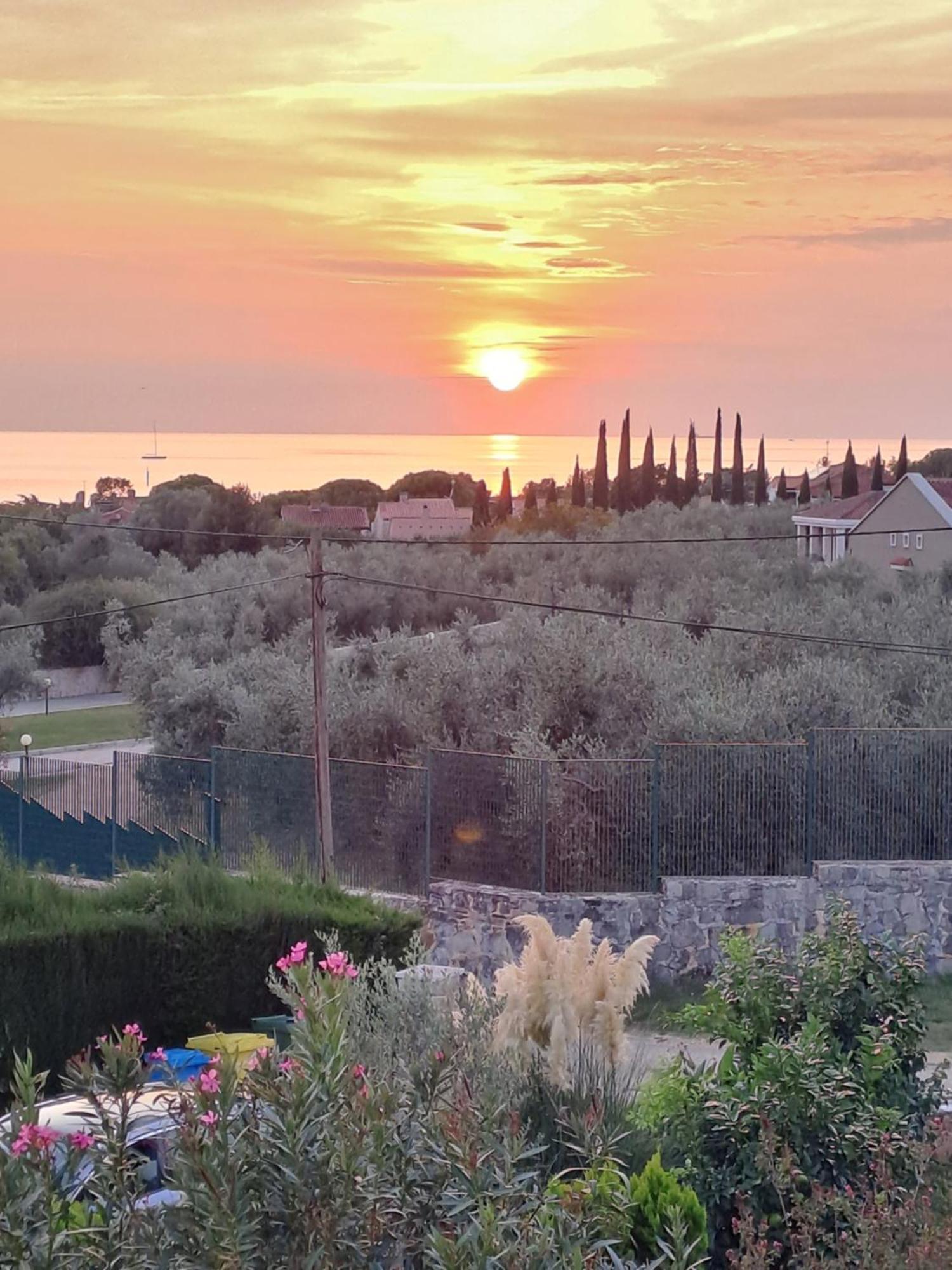 New Vivano V I D With Amazing View Apartmán *